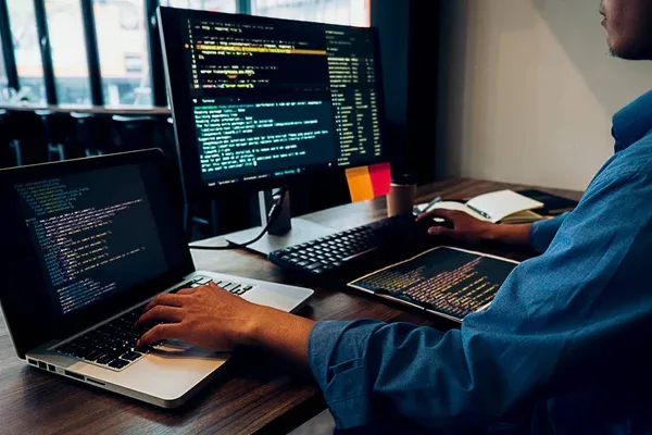 Developer